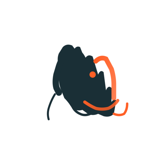 Логотип Braxo Cwinu